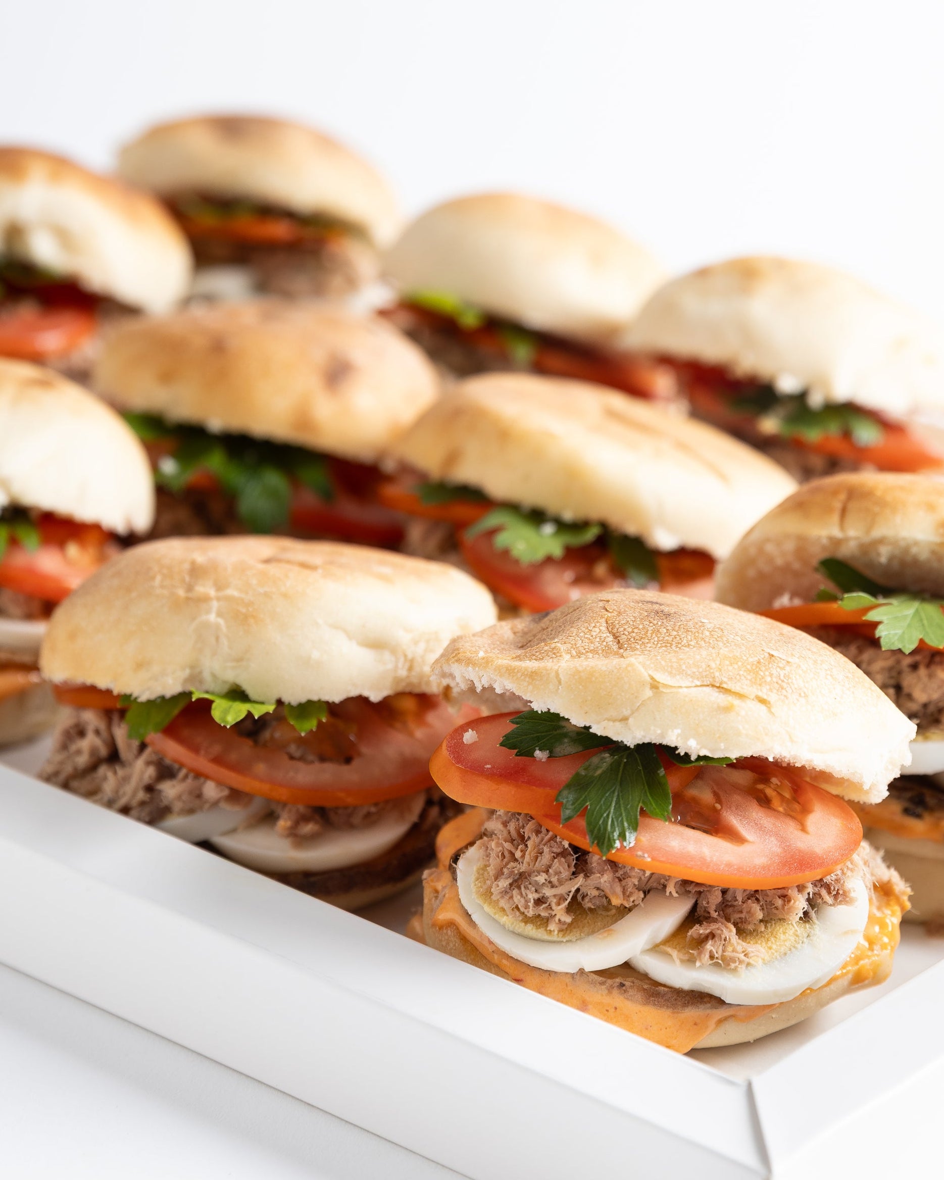 מגש כריכי מיני פרנה טונה "פועלים" 12 יחידות