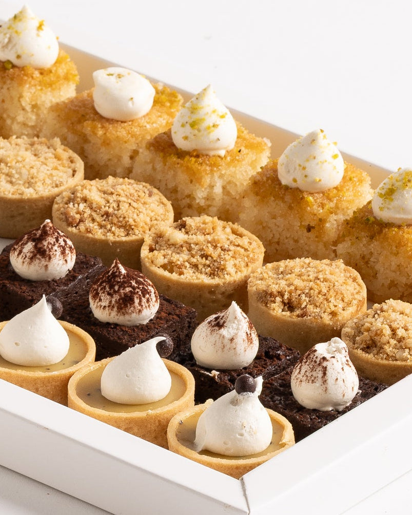 מגש פטיפורים פרווה 24 יחידות